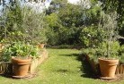 Cockatoo Valleyvegetable-gardens-3.jpg; ?>